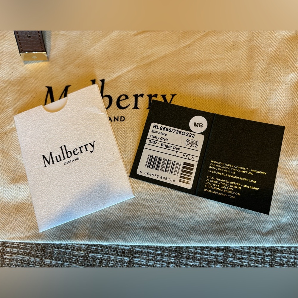 Mulberry Mini Alexa - Picture 10 of 11